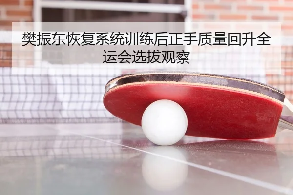 樊振东恢复系统训练后正手质量回升全运会选拔观察